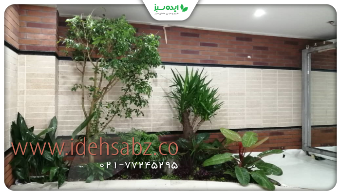 نمونه کار | پروژه باغچه سازی به سبک استوایی و آبنمای بارانی