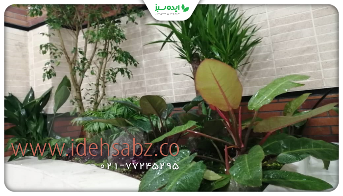 نمونه کار | اجرای باغچه زیر پله