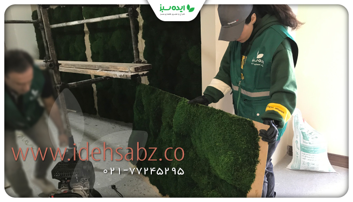 نمونه کار | اجرای moss wall