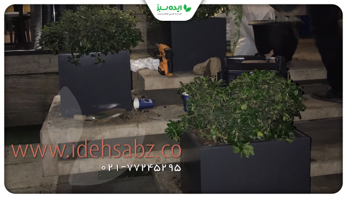 نمونه کار کاشت گیاهان مناسب فلاور باکس