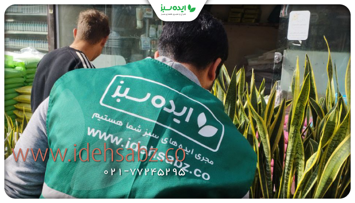 نمونه کار | طراحی دکوراسیون اداری  با ایده سبز 