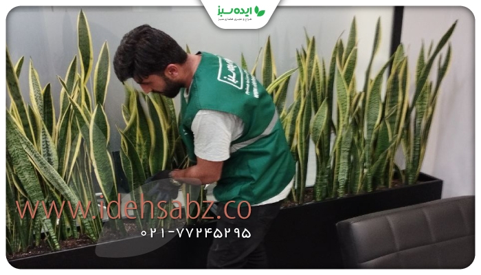 نمونه کار | نمونه خدمات ایده سبز 