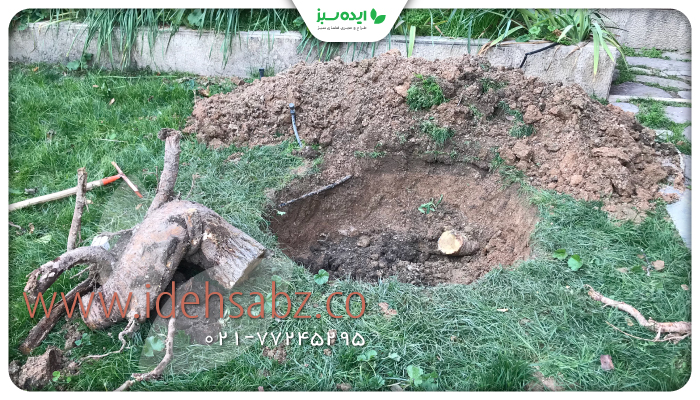 نمونه کار | مدیریت و نگهداری