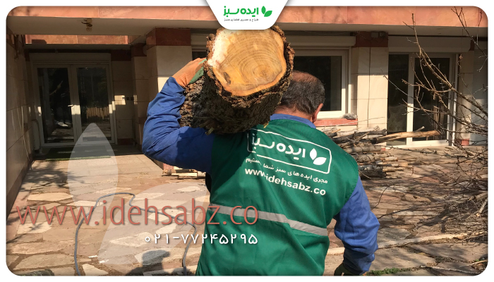 نمونه کار | مدیریت و نگهداری فضای سبز