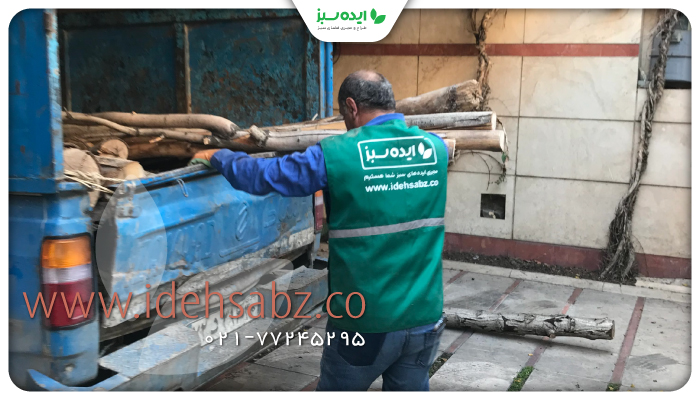 نمونه کار | نمونه خدمات ایده سبز در حوزه نگهداری فضای سبز