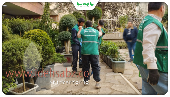 نمونه کار | گیاهان مناسب فضای باز