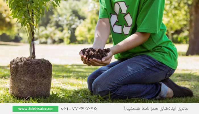 بهار بهترین وقت کاشت | بهترین زمان  کاشت درخت