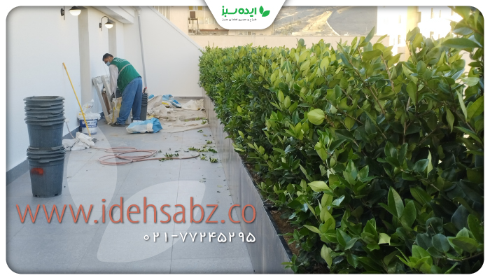 نمونه کار | مدیریت و نگهداری تراس گاردن در تهران