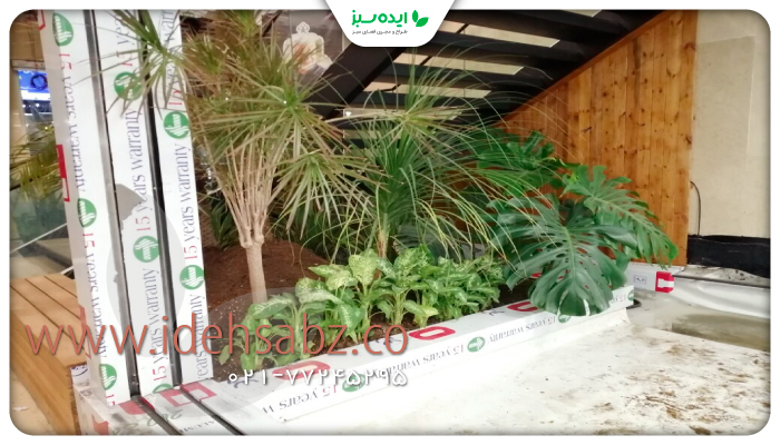 نمونه کار | Tropical Garden Design