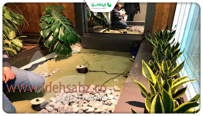 نمونه کار | کاشت گیاهان برگ پهن در محیط اداری
