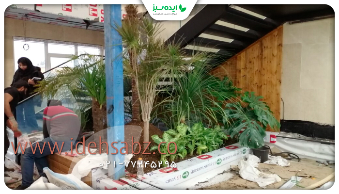 نمونه کار | اجرای باغچه استوایی در ساختمان مدیریت امداد خودرو