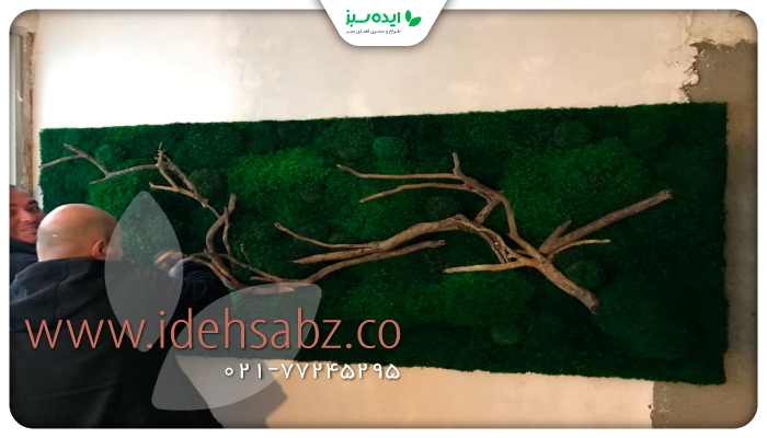 نمونه کار | دکوراسیون کلینیک زیبایی