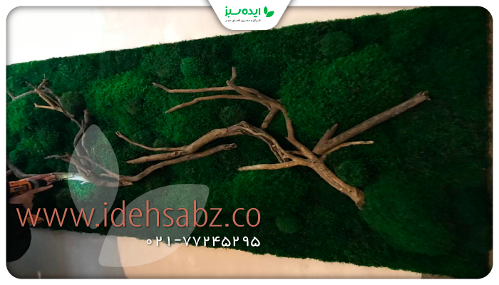 نمونه کار | شاخه آرایی ماس وال