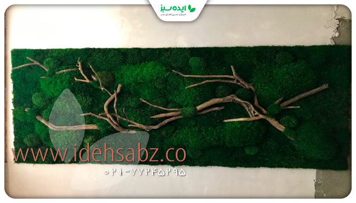 نمونه کار | پروژه ماس وال کلینیک زیبایی محدوده جردن