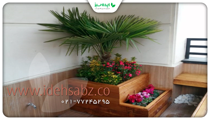 نمونه کار | گیاه طبیعی در فلاور باکس چوبی