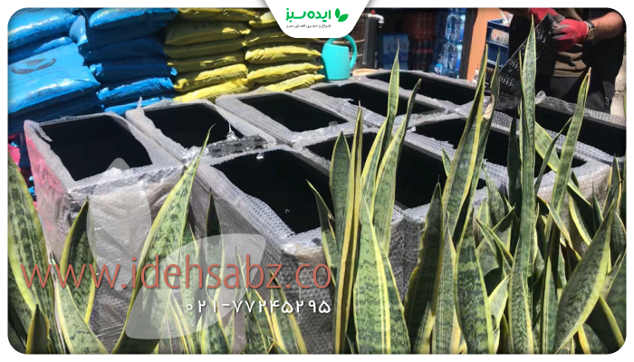 نمونه کار | فلاور باکس فلزی