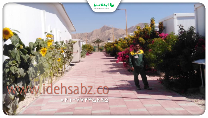 نمونه کار | کاشت گیاهان برای محوطه سازی کمپ