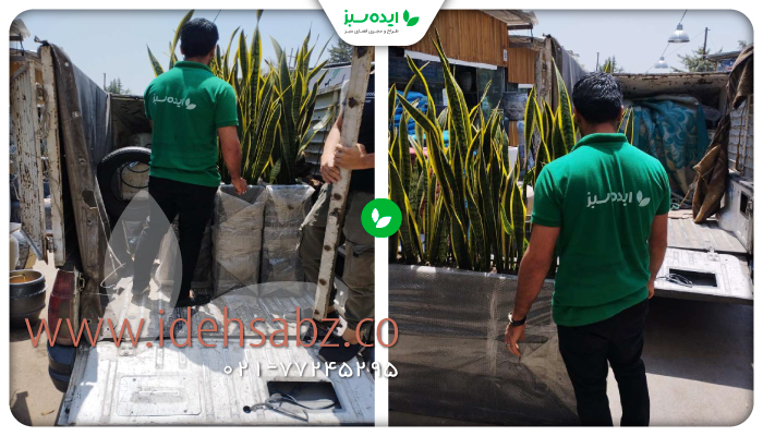 نمونه کار | فلاور باکس شرکت چهل چشمه رنگین کمان