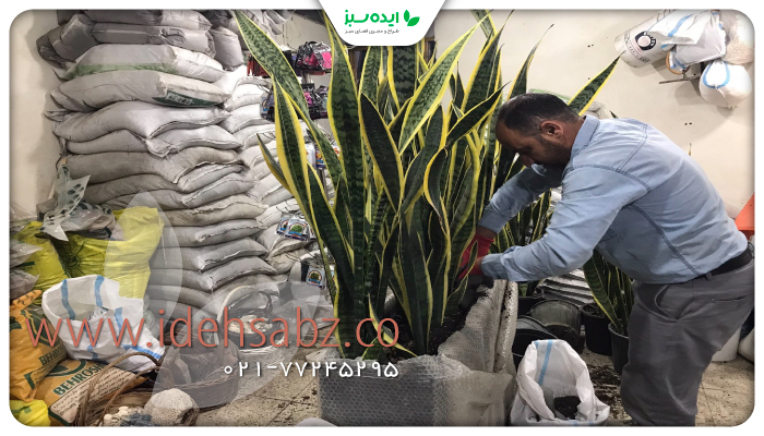 نمونه کار |فلاور باکس فلزی شرکت چهل چشمه رنگین کمان
