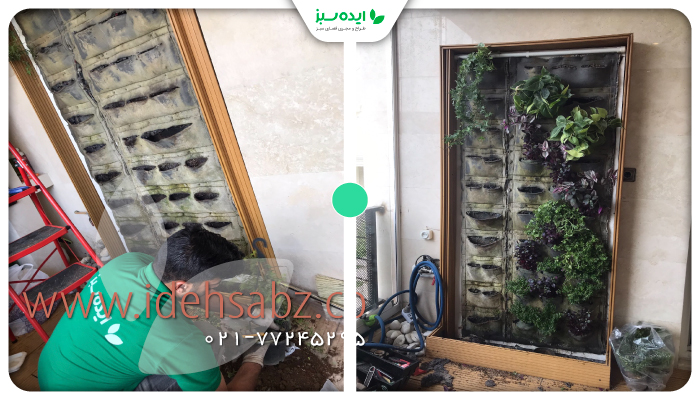 نمونه کار | اجرای دیوار سبز طبیعی