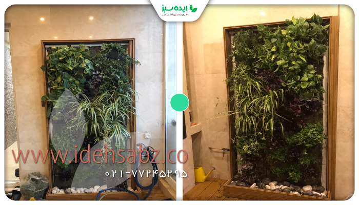 نمونه کار | پروژه ترمیم دیوار سبز طبیعی در نیاوران خیابان یاسر