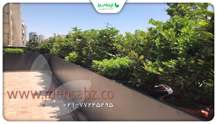 نمونه کار | دیزاین روف گاردن همراه با فلا.ور باکس روف