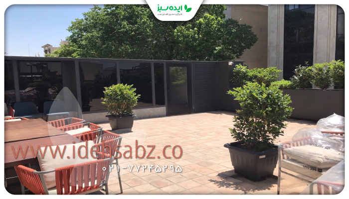 نمونه کار | بام سبز در تهران