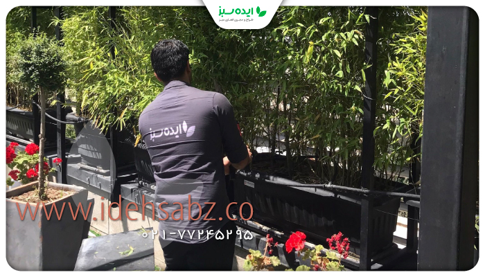 نمونه کار | کاشت گیاهان مناسب روف گاردن