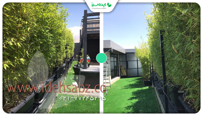 نمونه کار | پروژه نگهداری فضای سبز روف گاردن در خیابان شیخ بهایی