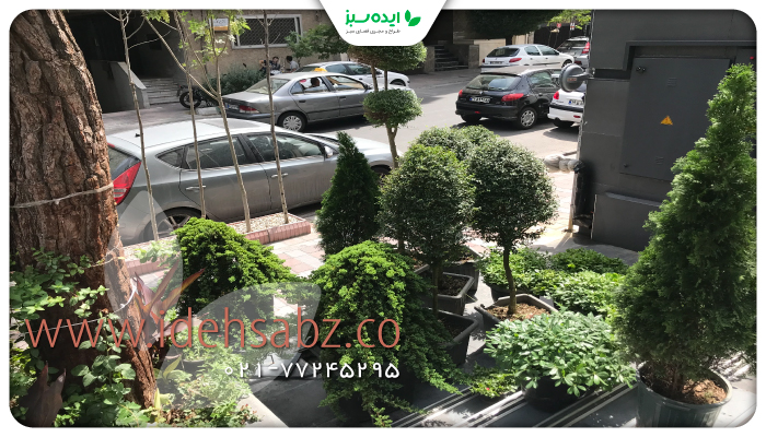 نمونه کار | گیاهان مناسب فضای باز