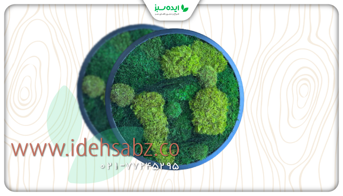 نمونه کار | Moss frame