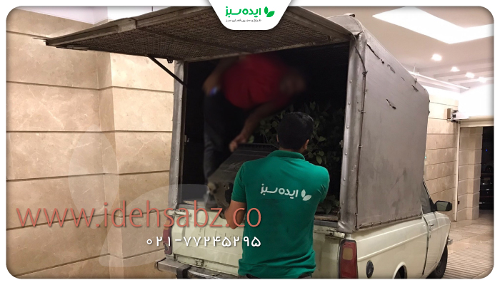 نمونه کار | کاشت گیاه مناسب تراس 