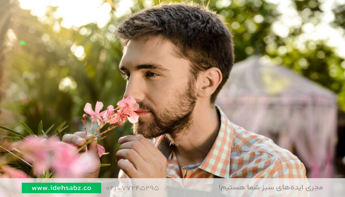 گل&zwnj;های معطر فضای سبز | خرید گل&zwnj;های معطر فضای سبز 