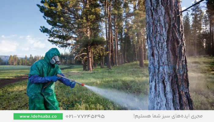  سوسک پوستخوار |  (Bark Beetle) 