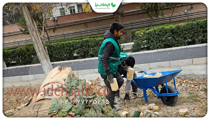 نمونه کار | باغچه سازی ایده سبز 