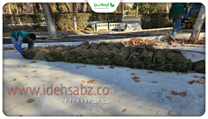 sodنمونه کار | نصب چمن 