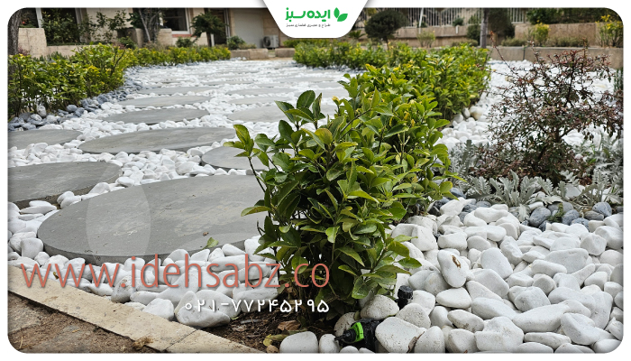 نمونه کار | کاشت گیاهان محوطه سازی