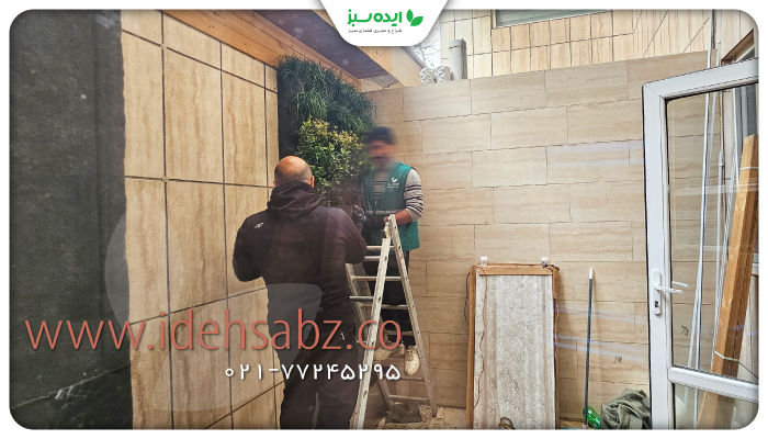 نمونه کار |  دیوار سبز هیدروپونیک 