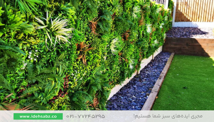 دیوار سبز | محوطه سازی حیاط