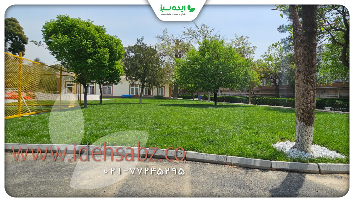 نمونه کار | اجرای چمن رولی سفارت روسیه