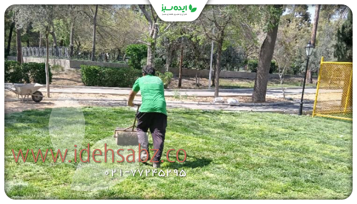 نمونه کار |  طراحی و اجرای چمن رولی سفارت روسیه