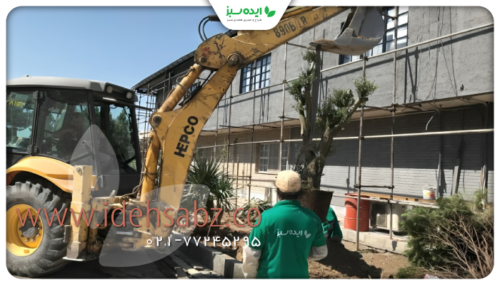 نمونه کار | کاشت گیاهان به روش روت بال