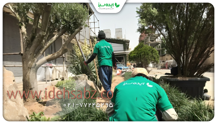 نمونه کار |  خدمات پوشش گیاهی کارخانه کالین