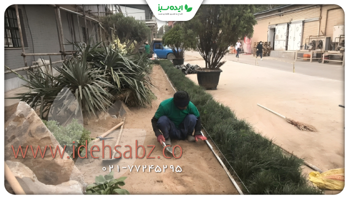 نمونه کار | احیای درختان و گیاهان آسیب دیده