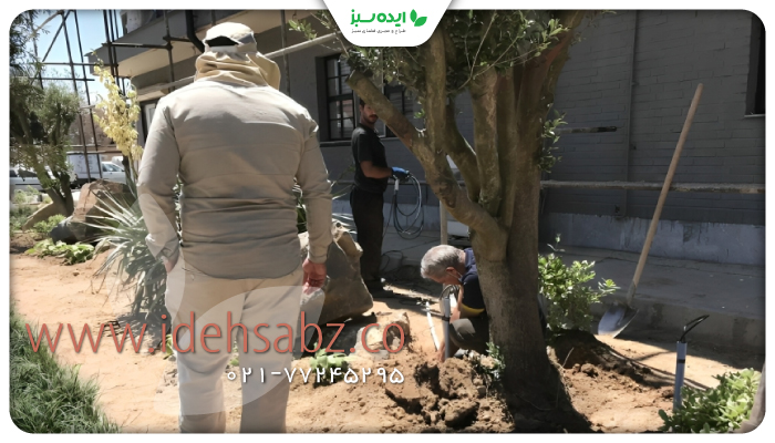 نمونه کار |  محوطه سازی شهرک صنعتی