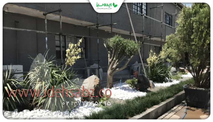 نمونه کار | کاشت گیاهان مناسب در محیط صنعتی
