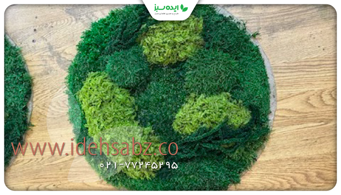 نمونه کار | دیوایدر خزه ای