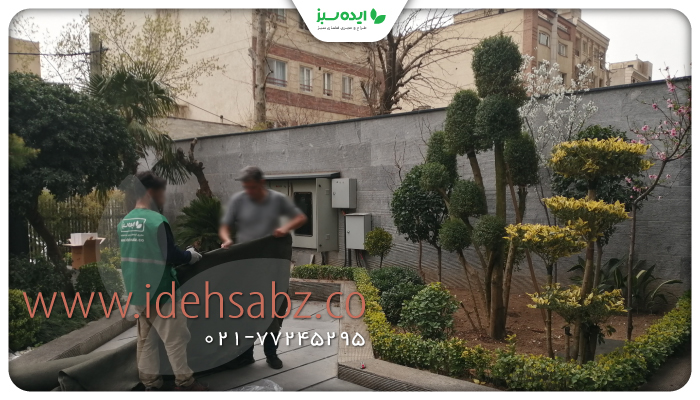 نمونه کار | خدمات احیاس گیاهان و درختان در تهران
