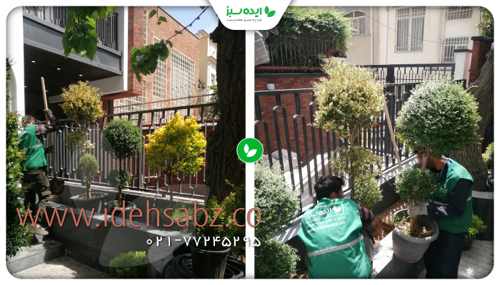 نمونه کار | طراحی نمای سبز ساختمان در اندرزگو