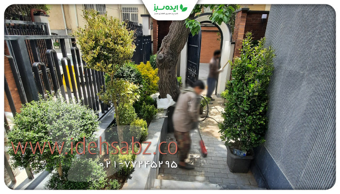 نمونه کار | طراحی بایوفیلیک ساختمان مسکونی دیما